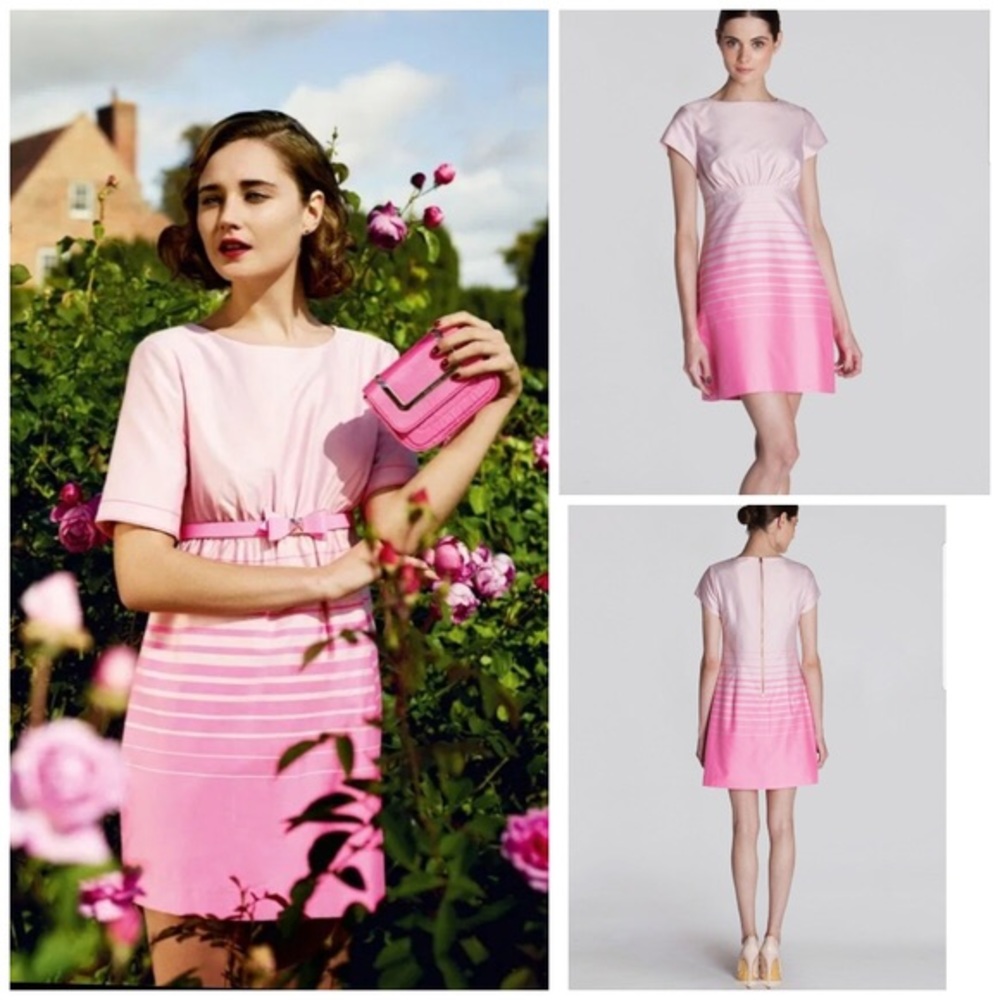 Ted Baker Pink striped ombré dress 3